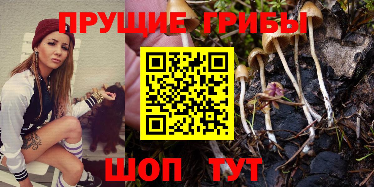 закладки  Вход с VPN  Городец  Галлюциногенные грибы ЛСД  Псилоцибиновые грибы Psilocybine cubensis 
