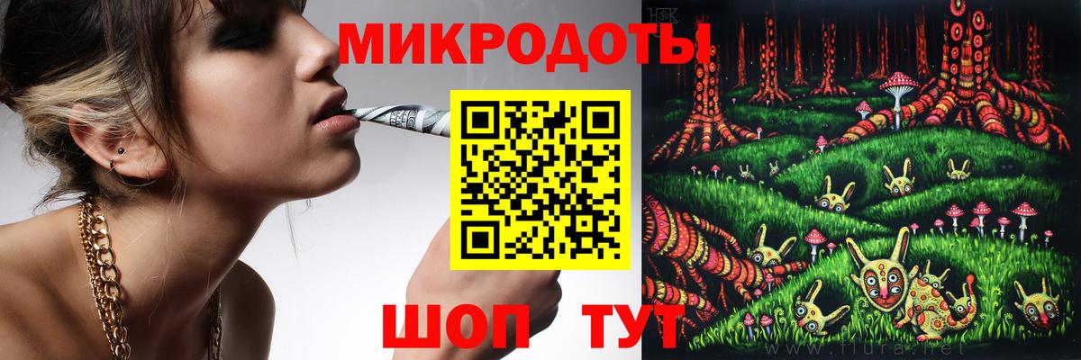 Псилоцибиновые грибы Psilocybe Городец